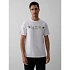 T-shirt regular z nadrukiem męski 4F 4FKAW26TTSHM4476-10S