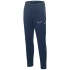 Nohavice Nike Dri-Fit Academy 25 Jr FZ9816 410