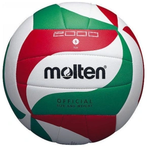 Molten volleyball V5-M2000
