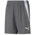 Puma teamLIGA Šortky Jr 704931 13