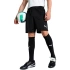 Pánske šortky Puma Team Goal Black 705752 03