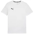 Puma Team Goal Casuals Tee M 658615 04 Pánske
