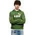 Pánska mikina Puma ESS No.1 Logo Hoodie FL zelená 682571 68 pánska