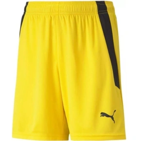 Puma teamLIGA Šortky Jr 704931 07