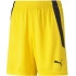 Puma teamLIGA Šortky Jr 704931 07