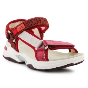 D.Franklin Tenisky Sandal Strips W DFSH406003-Burg
