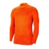 Pánske brankárske tričko Gardien III GK LS M BV6711-803 - Nike