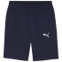 Pánske šortky Puma teamGOAL Casuals navy blue 658608 06