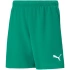 Detské šortky Team RISEShort Jr 704943 05 - Puma