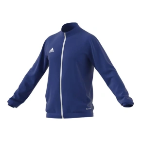 Pánske športové nohavice Entrada 22 Track M HG6287 - Adidas