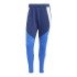 Nohavice adidas Tiro 24 Competition Winterized M IY0124