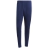 Nohavice adidas Squadra 25 M JD2961
