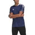 Pánska tréningová obuv Tiro 21 M GM7585 - Adidas