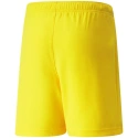 Detské krátke nohavice TeamRise Jr 704943 07 - Puma
