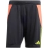 Šortky adidas Tiro 24 M IT2411