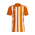 Pánsky futbalový dres 21 M H35642 - Adidas