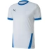 Puma teamGOAL 23 Jersey M 704171 12 pánske dresy