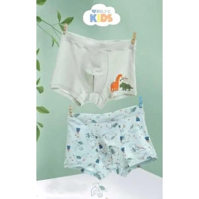 Chlapčenské boxerky 5002 A'2 kombinované zelené - DC Polo