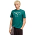 Pánske tričko Puma Class Graphic Tee green 692226 41 pánske