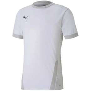 Puma teamGOAL 23 Jersey M 704171 04 pánske dresy
