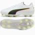Puma KING 20 Pro FG/AG 108461-01