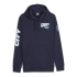 Puma Manchester City Football Icons Hoodie 774384-05