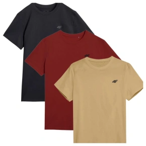 Tričká 4F M 4FWSS25TTSHM3965-92S muži