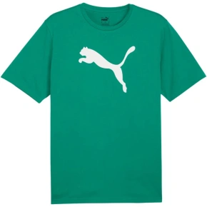 Puma Team Rise Logo Jersey Cotton M 658705 05 muži