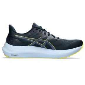 Asics GT 2000 12 M 1011B691403 bežecká obuv