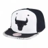 Bunda Puma teamRISE Sideline M 657326 02 XL