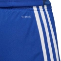 Pánske šortky Tastigo 19 M DP3682 - Adidas