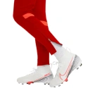 Detské tepláky DF Academy 21 KPZ CW6124-687 - Nike
