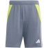 Tréningové šortky adidas Tiro 24 M IV6940