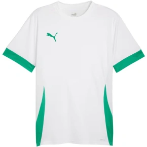 Pánsky dres Puma teamGoal Matchday Jersey white and green 705747 15 muži