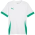 Pánsky dres Puma teamGoal Matchday Jersey white and green 705747 15 muži