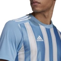 Pánske pruhované tričko 21 JSY M GN5845 - Adidas