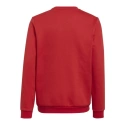 Detská mikina Entrada 22 Sweat Jr H57473 - Adidas