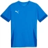 Puma teamGoal Matchday Jersey M 705747 02 muži