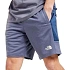 Pánske fleecové šortky The North Face Pohodlné športové šortky