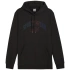 Pánska mikina Puma Ess+ Logo LAB Gradient FL M 681775 01