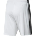 Pánske krátke nohavice Squadra 21 M GN5773 - Adidas