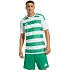Pánske tričko adidas Hooped 26 Jersey white and green KF3393