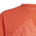 Detské tričko FI Logo Jr HR6296 - Adidas