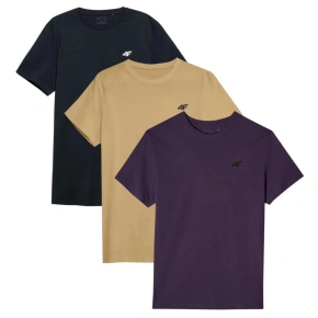 Tričká 4F M 4FWSS25TTSHM3956-91S muži