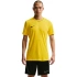 Pánske tričko Nike Dri-Fit Park 26 SS Top yellow HM7127 719 pánske