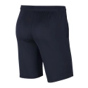 Pánske šortky Dri-FIT Park 20 M CW6152-451 - Nike