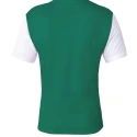 Pánske Dri-Fit Tiempo Premier 2 M DH8035 302 - Nike