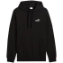 Pánska mikina Puma ESS Small No.1 Logo Hoodie TR M 682576 01