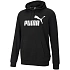Pánska mikina Puma ESS Big Logo Hoodie M 586688 01