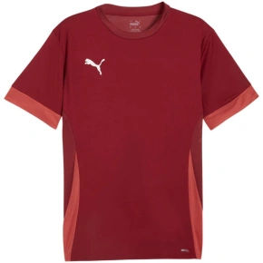 Pánsky dres Puma teamGoal Matchday Jersey burgundy 705747 09 pánsky